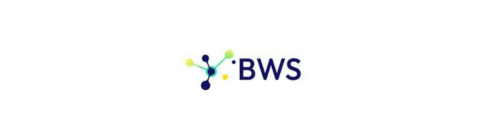 BWS International